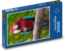 Ara červený, exotický papagáj Puzzle 2000 dielikov - 90 x 60 cm
