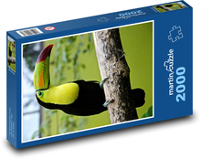 Tukan na vetve Puzzle 2000 dielikov - 90 x 60 cm