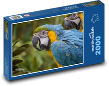 Blau-gelber Ara, exotischer Papagei Puzzle 2000 Teile - 90 x 60 cm