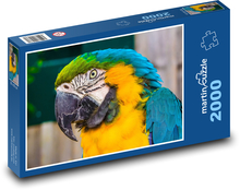 Blau-gelber Ara, Nahaufnahme eines Papageis Puzzle 2000 Teile - 90 x 60 cm