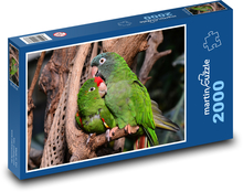 Zamilovaní papagáje Puzzle 2000 dielikov - 90 x 60 cm