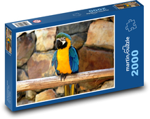 Blue-and-yellow parrot Puzzle 2000 pieces - 90 x 60 cm