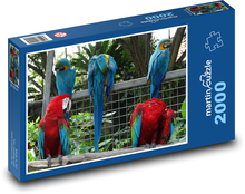 Papoušek Puzzle 2000 dílků - 90 x 60 cm