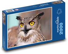 Eule, Große Eule mit gelben Augen Puzzle 2000 Teile - 90 x 60 cm