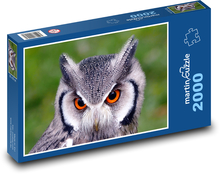 Sowa z pomarańczowymi oczami Puzzle 2000 elementów - 90x60 cm