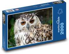 Sova, sova veľká vo voľnej prírode Puzzle 2000 dielikov - 90 x 60 cm