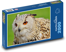 Owl waiting for prey Puzzle 2000 pieces - 90 x 60 cm