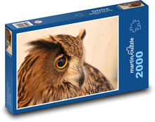 Sova, sova európska Puzzle 2000 dielikov - 90 x 60 cm