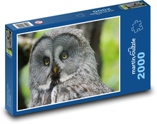 Schleiereule, Eule im Wald Puzzle 2000 Teile - 90 x 60 cm