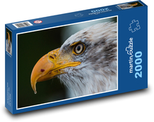 Orol bielohlavý s dlhým zobákom Puzzle 2000 dielikov - 90 x 60 cm