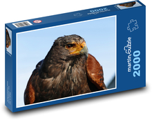Steinadler, Raubtierporträt Puzzle 2000 Teile - 90 x 60 cm