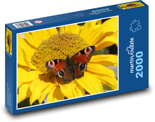 Babočka pawie oko, motyl Puzzle 2000 elementów - 90x60 cm