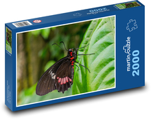 Hnedý motýľ na zelenom liste Puzzle 2000 dielikov - 90 x 60 cm