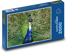 Páv so šíreným perím Puzzle 2000 dielikov - 90 x 60 cm