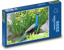 Pfau am Teichufer Puzzle 2000 Teile - 90 x 60 cm