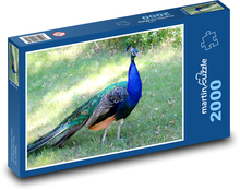 Páv na prechádzke v zoologickej záhrade Puzzle 2000 dielikov - 90 x 60 cm