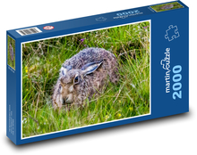 Hare hidden in grass Puzzle 2000 pieces - 90 x 60 cm