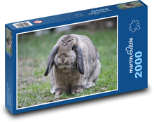 Rabbit with drooping ears Puzzle 2000 pieces - 90 x 60 cm