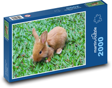 Králik v tráve Puzzle 2000 dielikov - 90 x 60 cm