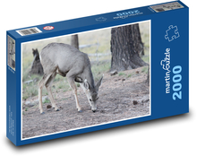 Srnka v lese Puzzle 2000 dílků - 90 x 60 cm