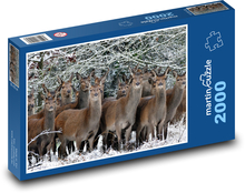 Ein Hirsch in einer verschneiten Landschaft Puzzle 2000 Teile - 90 x 60 cm