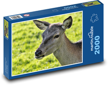 Ľan na pastvine Puzzle 2000 dielikov - 90 x 60 cm