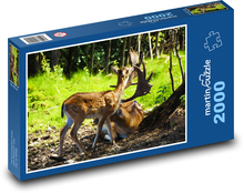 Deer - doe Puzzle 2000 pieces - 90 x 60 cm