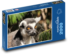 Lemur Puzzle 2000 dílků - 90 x 60 cm