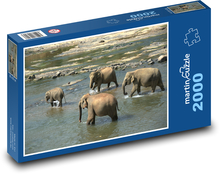 Sloní stádo brodící řeku Puzzle 2000 dílků - 90 x 60 cm