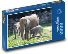 Elephant family in zoo enclosure Puzzle 2000 pieces - 90 x 60 cm