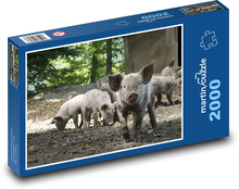 Prosięta w lesie Puzzle 2000 elementów - 90x60 cm