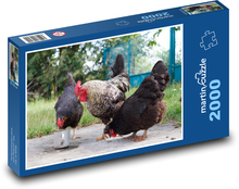 Kurczak i kogut na podwórku Puzzle 2000 elementów - 90x60 cm