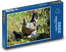 Chickens and small chickens in the grass Puzzle 2000 pieces - 90 x 60 cm