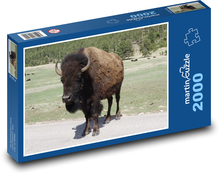 Buffalo v národnom parku Puzzle 2000 dielikov - 90 x 60 cm