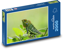 Chameleon Puzzle 2000 dielikov - 90 x 60 cm