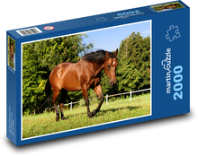 Brązowy koń na pastwisku Puzzle 2000 elementów - 90x60 cm