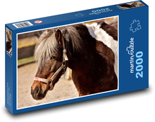 Hnedý kôň s bielymi škvrnami vo výbehu Puzzle 2000 dielikov - 90 x 60 cm