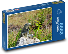 Leguán spočívajúci na kameni Puzzle 2000 dielikov - 90 x 60 cm