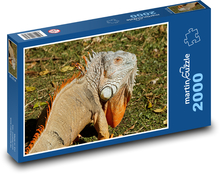 Iguana with a huge throat lobe Puzzle 2000 pieces - 90 x 60 cm