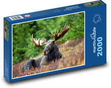 Los Puzzle 2000 Teile - 90 x 60 cm