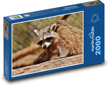 Mýval ve výběhu v zoo Puzzle 2000 dílků - 90 x 60 cm