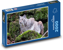 Lynx Puzzle 2000 dielikov - 90 x 60 cm