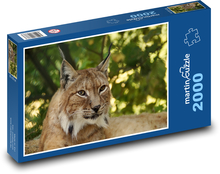 Lynx island in the forest Puzzle 2000 pieces - 90 x 60 cm