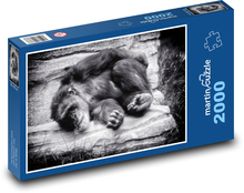 Spiaca opica Puzzle 2000 dielikov - 90 x 60 cm