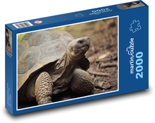 Korytnačia hlava vykukujúca zo škrupiny Puzzle 2000 dielikov - 90 x 60 cm