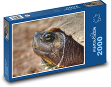 Schildkröte Puzzle 2000 Teile - 90 x 60 cm