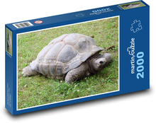 Schildkröte mit Muschel Puzzle 2000 Teile - 90 x 60 cm