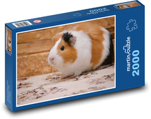 Roztomilé bílo hnědé morče Puzzle 2000 dílků - 90 x 60 cm