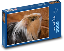 Langhaariges Meerschweinchen Puzzle 2000 Teile - 90 x 60 cm