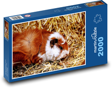 Meerschweinchen Puzzle 2000 Teile - 90 x 60 cm
